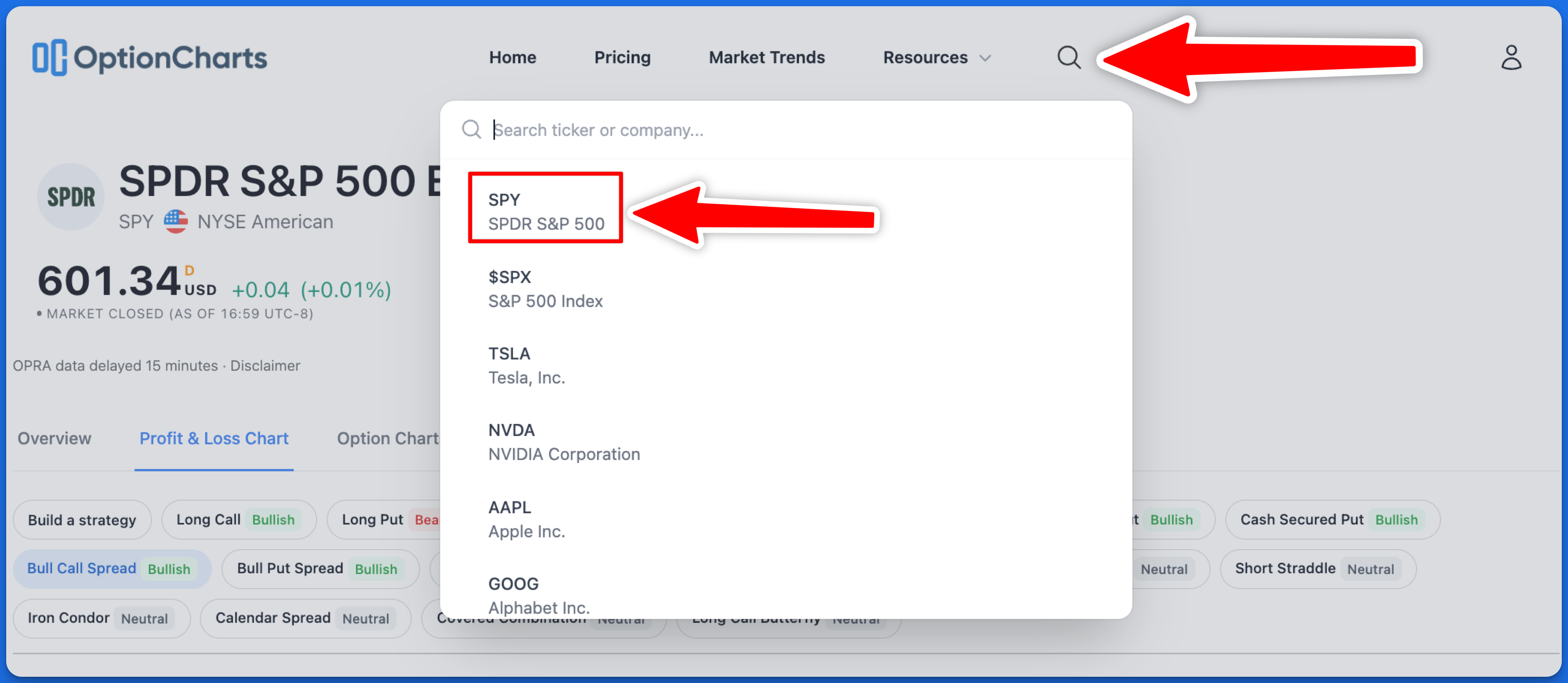 Illustration of the magnifying glass in the header for the Profit and Loss Chart.