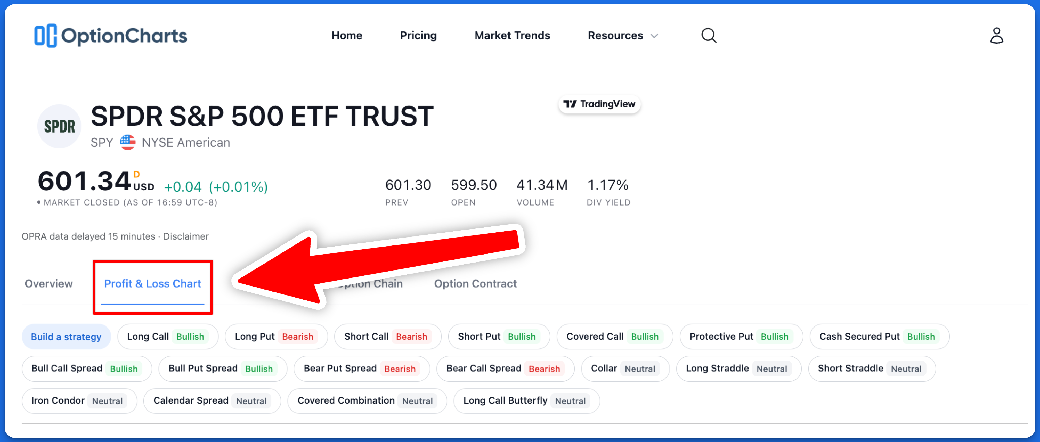 Illustration of the Profit and Loss Chart Tab.